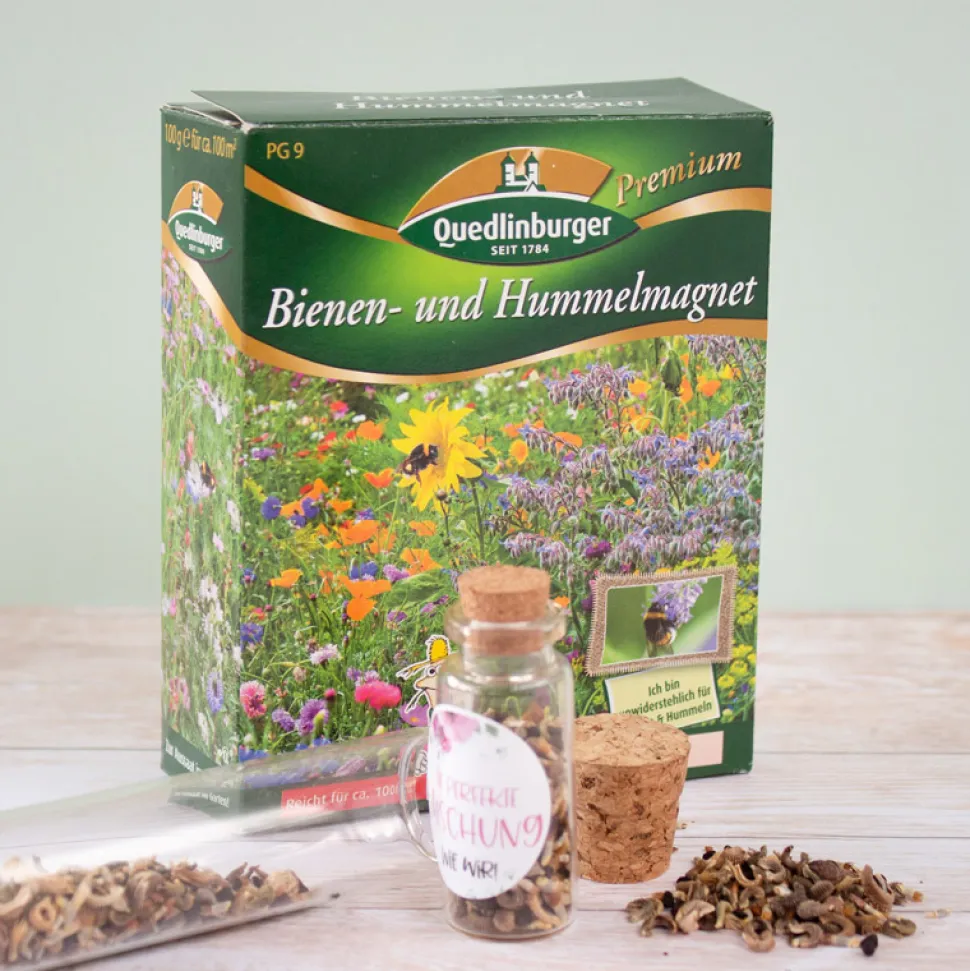 Blumensamen Bienen und Hummelmagnet