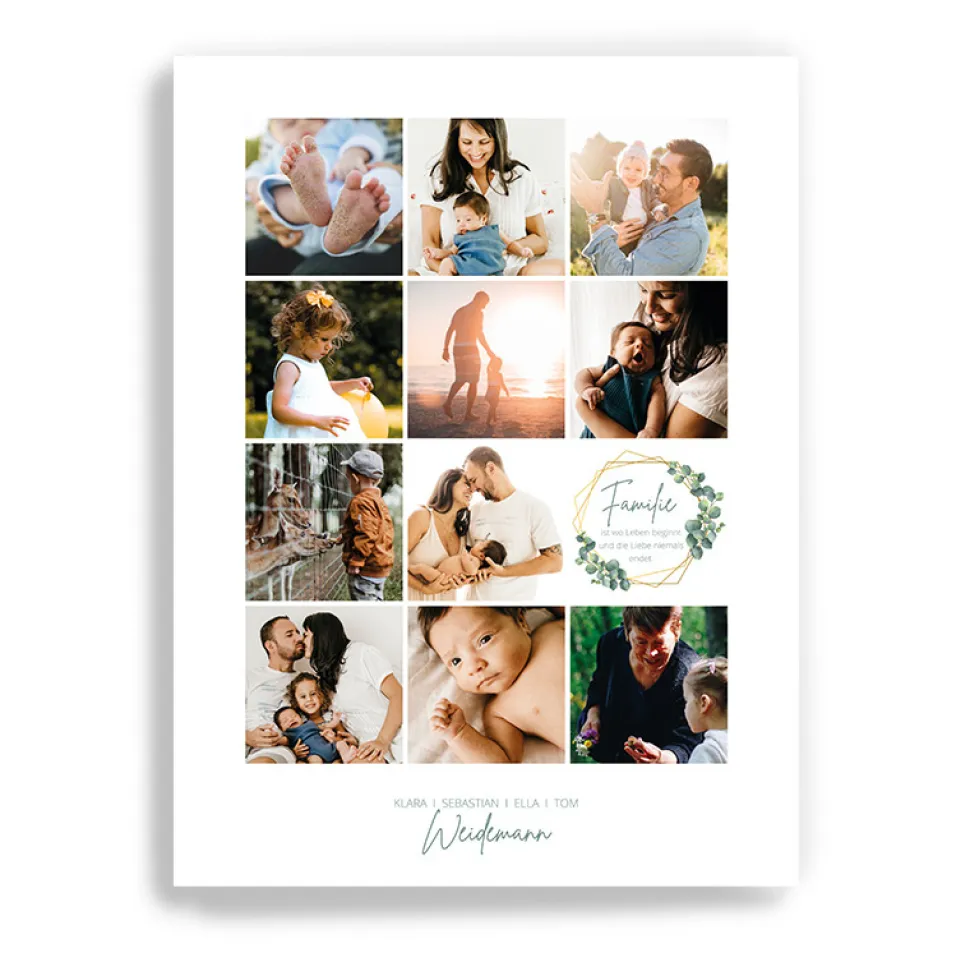Fotocollage Familie Eukalyptus Geometrie als Download oder Druck