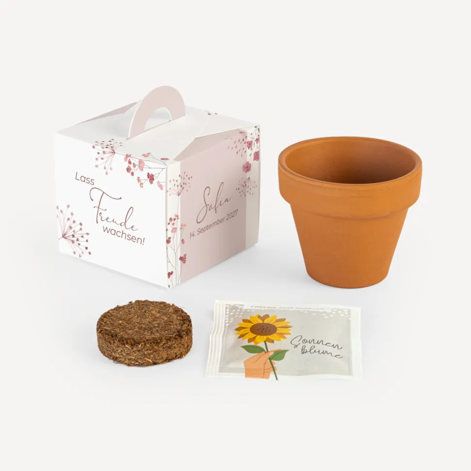Gastgeschenk Anzuchtset Box "Trockenblumen Blush"