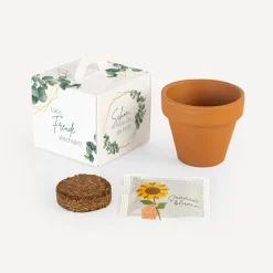 Gastgeschenk Anzuchtset Box
