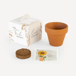 Gastgeschenk Anzuchtset Box 
