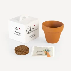 Gastgeschenk Anzuchtset Box "Kalligrafie"