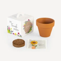 Gastgeschenk Anzuchtset Box 
