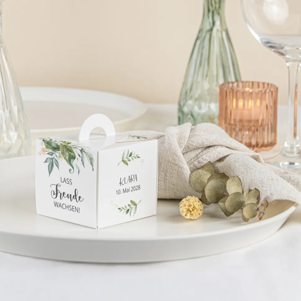 Gastgeschenk Anzuchtset Box "Green Magic"