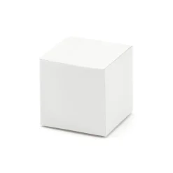 Gastgeschenk Kästchen weiß 10 Stück