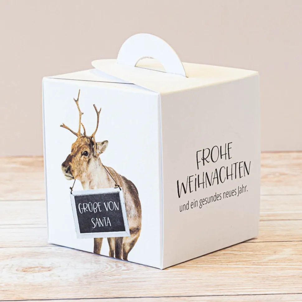 Geschenkbox Weihnachten "Rentier"