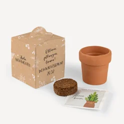 Weihnachtsbaum Anzuchtset mit Geschenkbox "Dein Weihnachtsbaum"