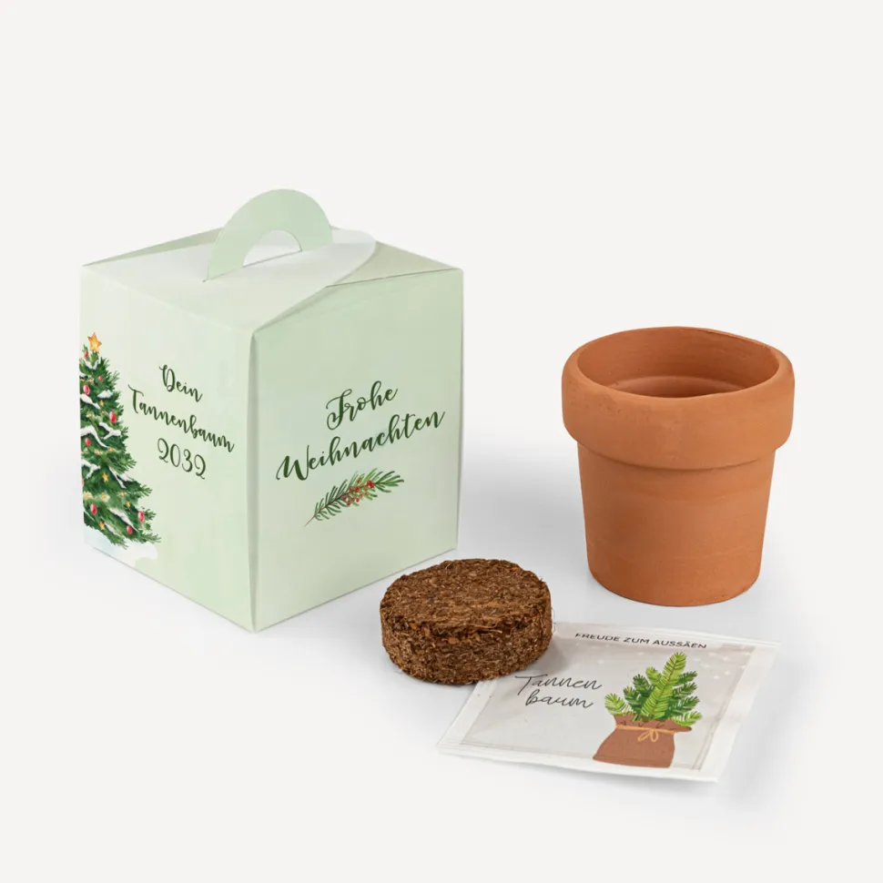 Weihnachtsbaum Anzuchtset mit Geschenkbox "Dein Weihnachtsbaum"