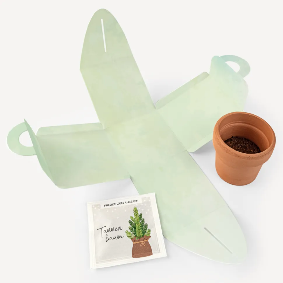 Weihnachtsbaum Anzuchtset mit Geschenkbox "Dein Weihnachtsbaum"